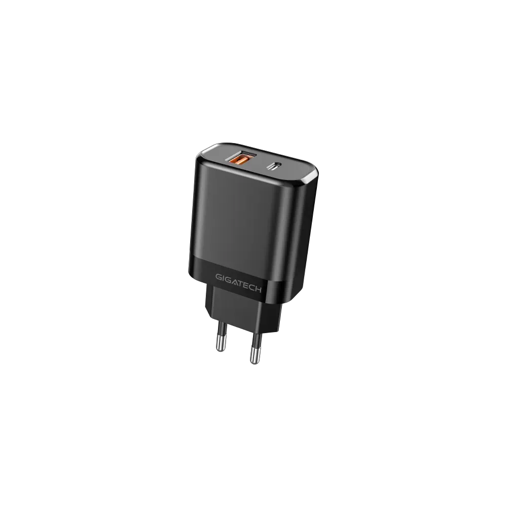 Univerzalni polnilec Gigatech NXC250, 25W, USB in Type-C, črn