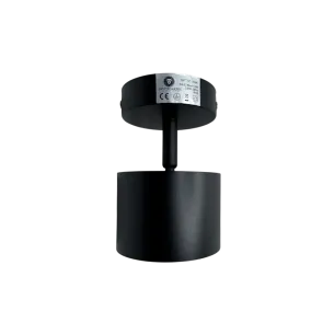 Downlight GX53, up to 15W, IP20, SPT01-1