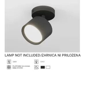 Downlight GX53, up to 15W, IP20, SPT01-1