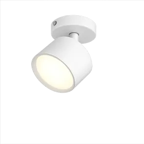 Surface Mounted Downlight GX53, up to 15W, IP20, SPT01-2