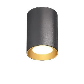 Surface Mounted Downlight GU10, up to 35W, IP20, Ø70×100 mm, Black + Gold, SPT01-14