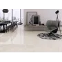 Desert Marfil Brillo 60x60,...