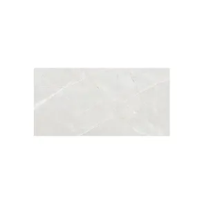 Argento Bianco Carving 60x120 R | Ploščice | E-shop.si