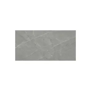 Argento Grey Carving 60x120 R | Ceramic tiles | E-shop.si