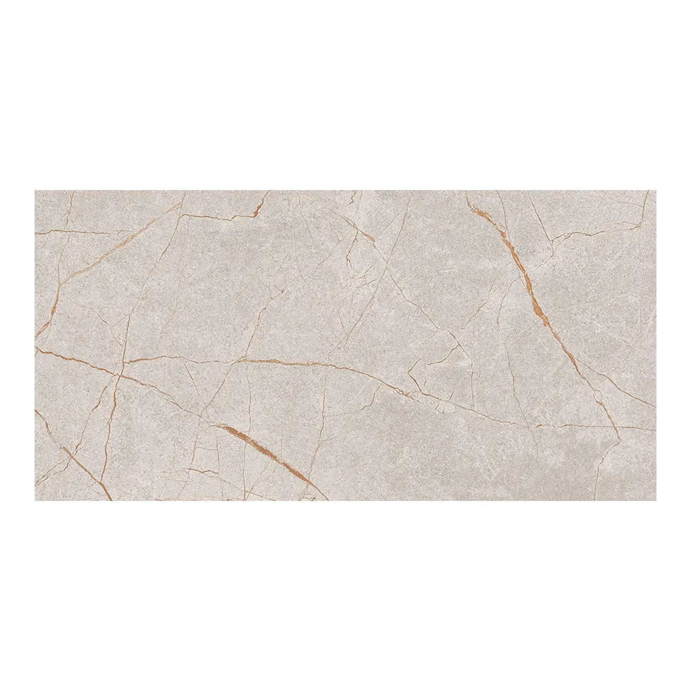 Barcelona Grey 60x120 R | Ceramic Tiles | E-shop.si