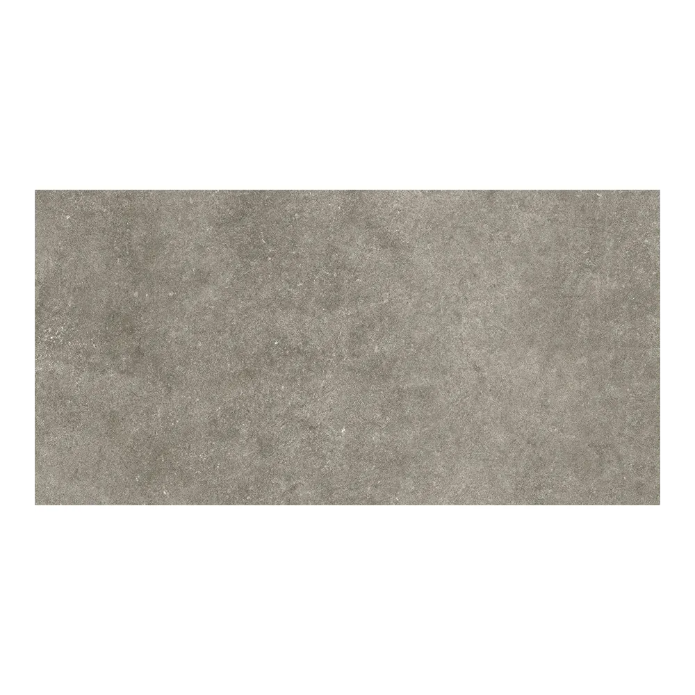 Plock Gris 30x60 R10 | Keramične ploščice | E-shop.si