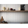Evolution Inmetro White...