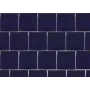 Evolution Cobalt gloss...