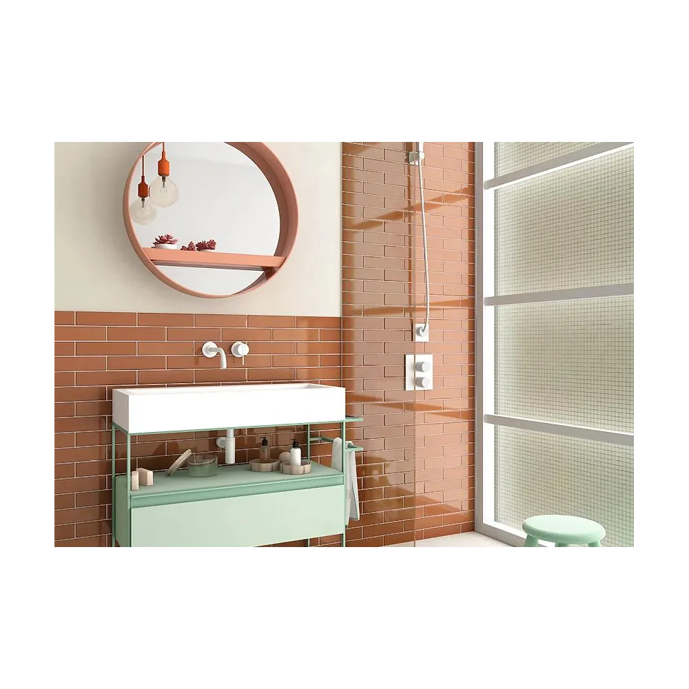 Limit Terre Cuit gloss 6x25 | Ceramic tiles | E-shop.si