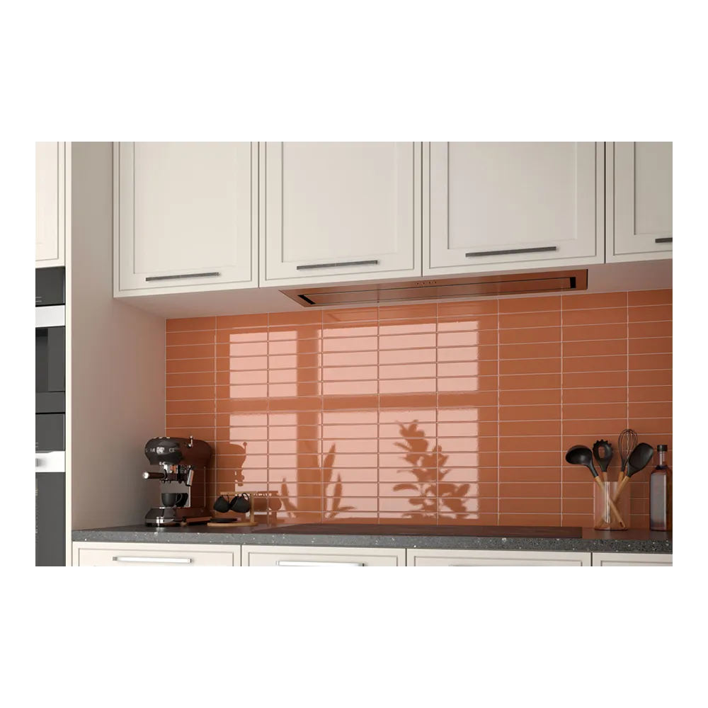 Costa Nova Terra Gloss 5x20 | Ceramic tiles | E-shop.si