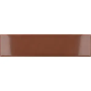 Costa Nova Terra Gloss 5x20 | Ceramic tiles | E-shop.si