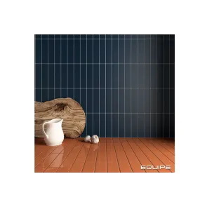 Costa Nova Terra Gloss 5x20 | Ceramic tiles | E-shop.si