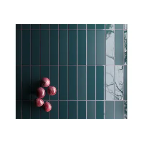Costa Nova Glacier Gloss 5x20 | Ceramic Tiles | E-shop.si