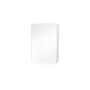 Quadro 60 Mirror Cabinet.