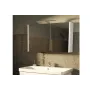 Sharp 100 mirror cabinet...