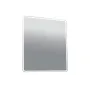 Frozen Mirror 80 LED S.