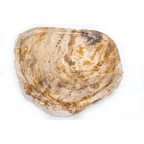 Brown Fossil Wood Tray | Bathroom | E-shop.si