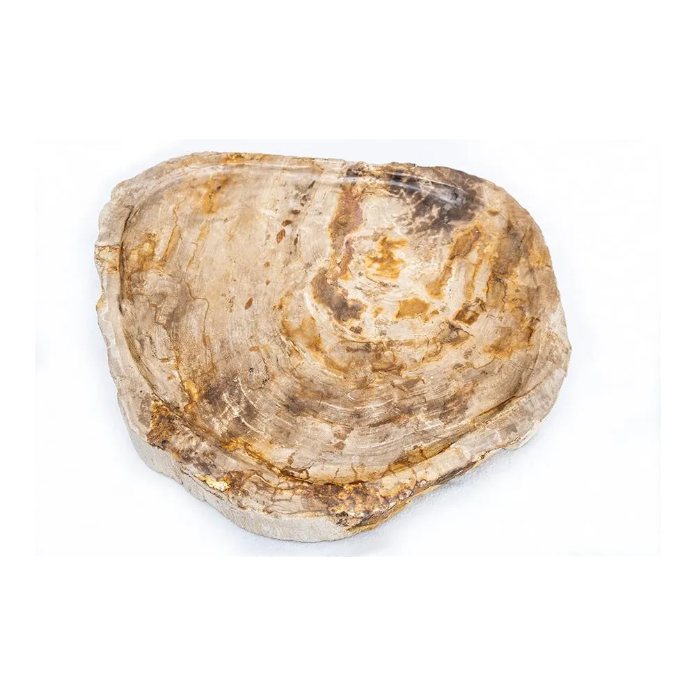 Brown Fossil Wood Tray | Bathroom | E-shop.si