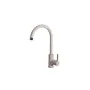 Rosa Avena 51 kitchen faucet.
