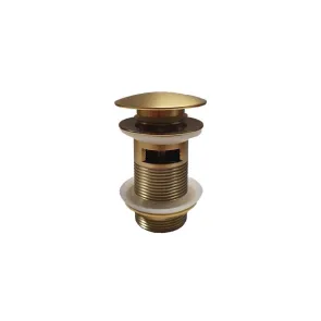 Top part of siphon D101 gold | Siphons | E-shop.si