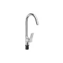 Ficaria kitchen faucet.