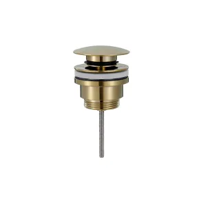 Top Part of G9800 Gold Siphon | Siphons | E-shop.si