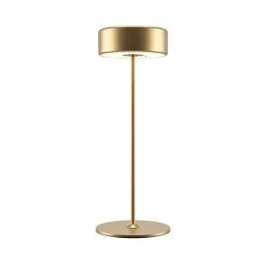 Rechargeable LED Table Lamp Maytoni AI Collaboration | Premium Decorative Light