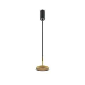 Pendant Light MOD041PL-L15G3K 3000K LED | Modern Hanging Lamp