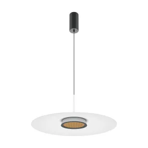 Pendant Light MOD041PL-L15W3K1 3000K LED | Modern Hanging Lamp