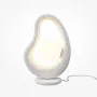 Table lamp MAYTONI...