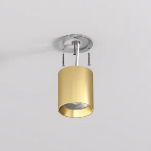 Surface ceiling light 10W 3000K satin brass SHINE (DK/EU-2610-SB)