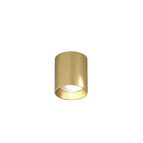 Surface ceiling light 10W 3000K satin brass SHINE (DK/EU-2610-SB)