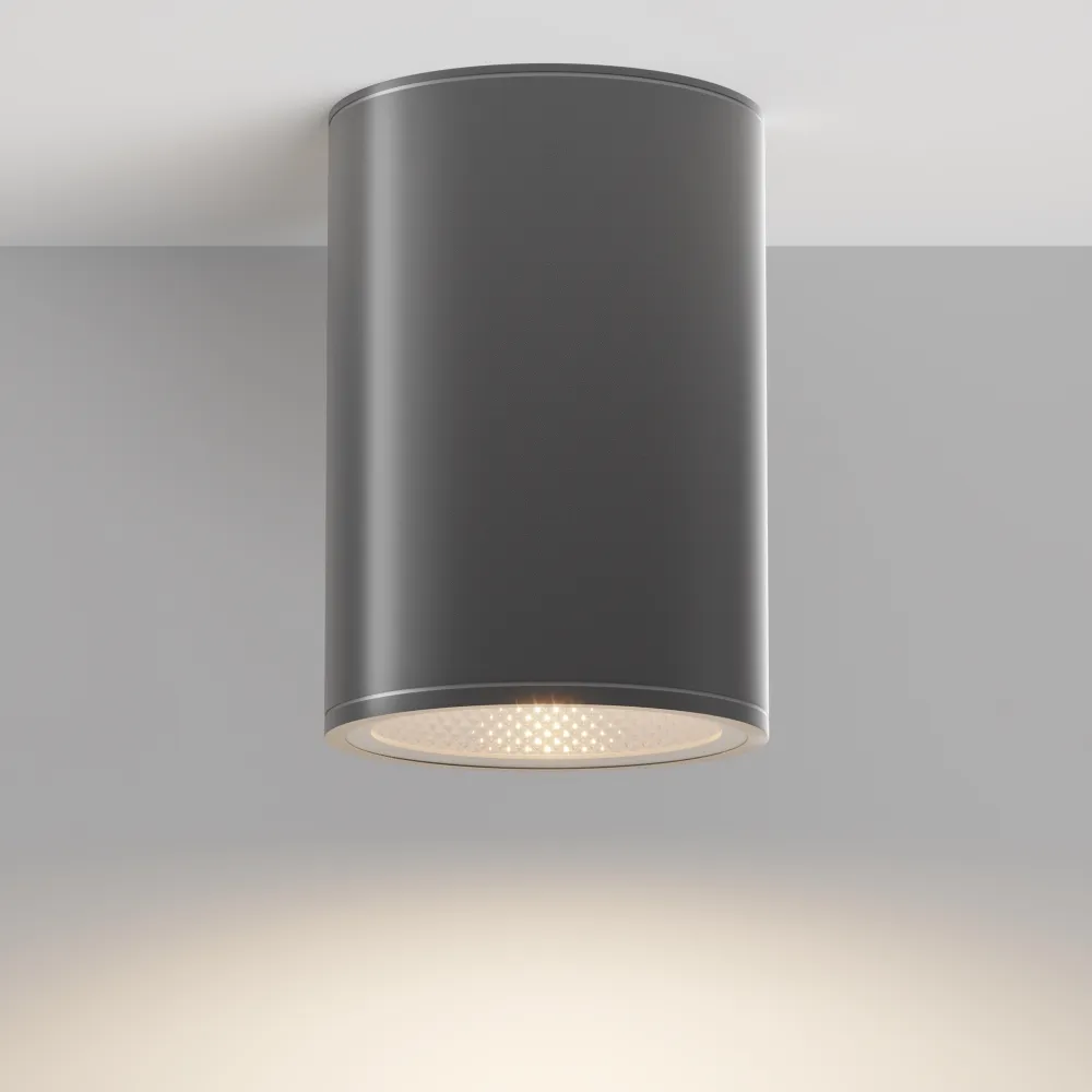 Zunanja stropna LED svetilka IP65 3000K O306CL-L12GF