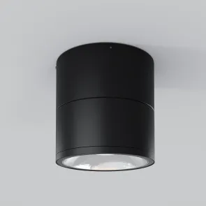 Stropna svetilka O310CL-L12GF3K