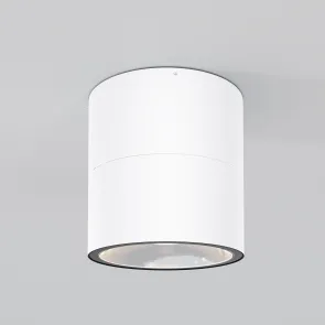 Stropna svetilka O310CL-L12W3K