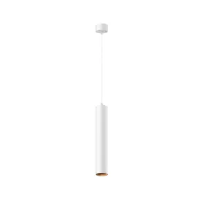 Pendant luminaire P072PL-L12W3K-1