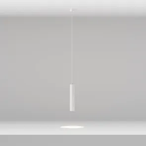 Pendant luminaire P072PL-L12W3K-1