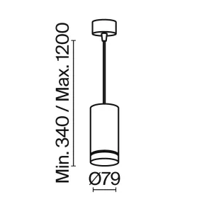 Pendant luminaire P085PL-12W4K-B