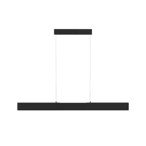 Pendant luminaire P010PL-L30B