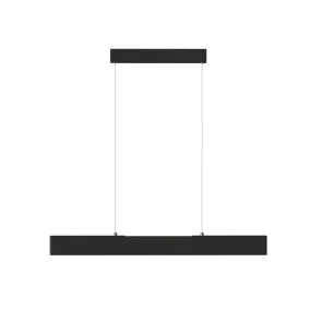 Pendant luminaire P010PL-L23B4K