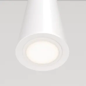 Pendant luminaire P318-PL-01-W