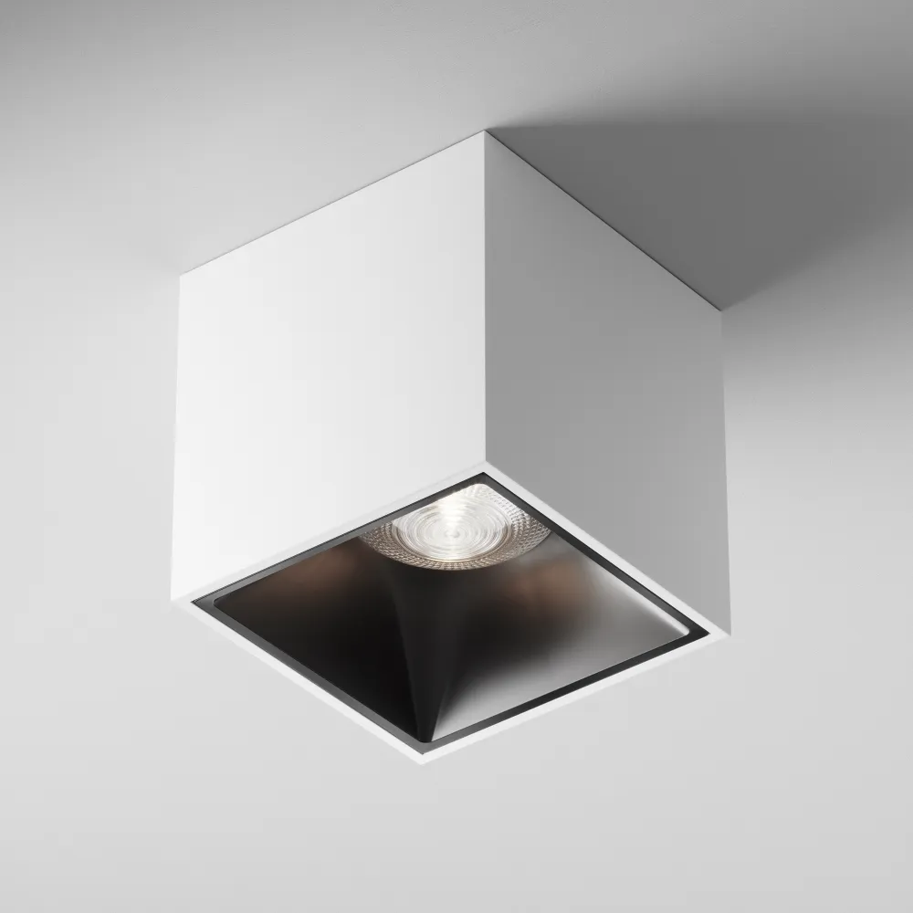 Stropna svetilka C065CL-L12W4K