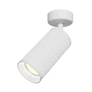Ceiling luminaire C034CL-01W