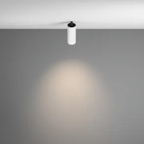 Vgradna svetilka C053CL-L12W4K-W-W