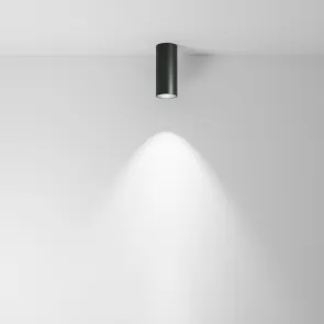 Ceiling luminaire C056CL-L12B4K-W-B