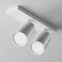 Ceiling luminaire C051CL-U-2W