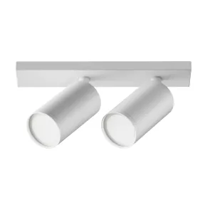 Ceiling luminaire C051CL-U-2W