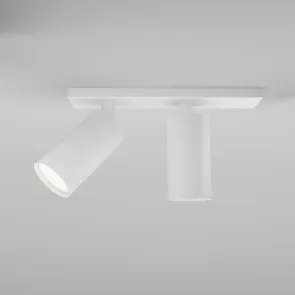 Ceiling luminaire C051CL-U-2W