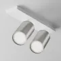 Ceiling luminaire C051CL-U-2WS