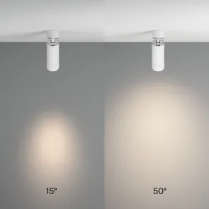 Ceiling luminaire C055CL-L12W4K-Z-W